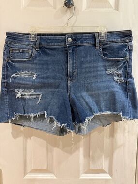 American Eagle Outfitters Distressed Blue Denim Cutoff Shorts